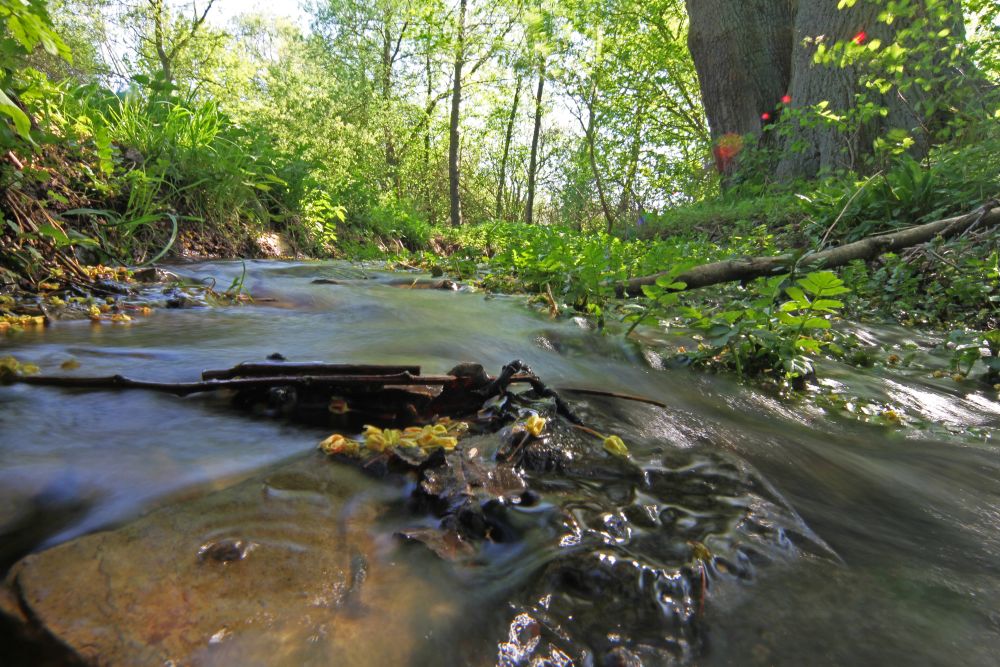 Spiritualität in der Natur - Foto: Robin Jähne