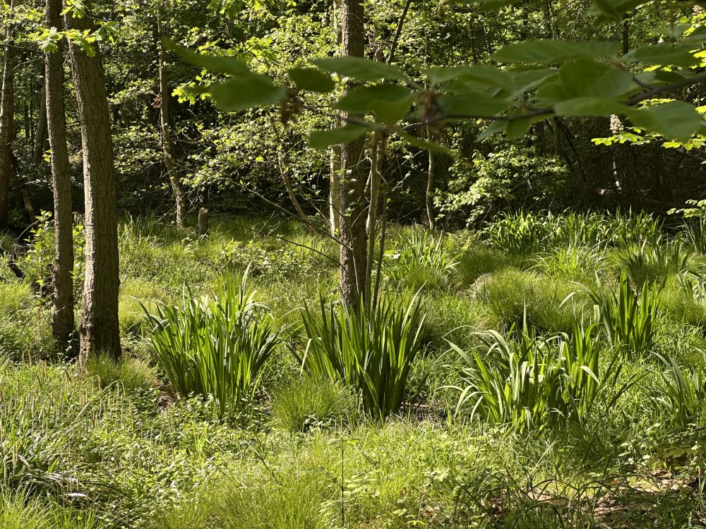 Neugier genügt - Pilgern in der Natur gibt Gedankenanstöße